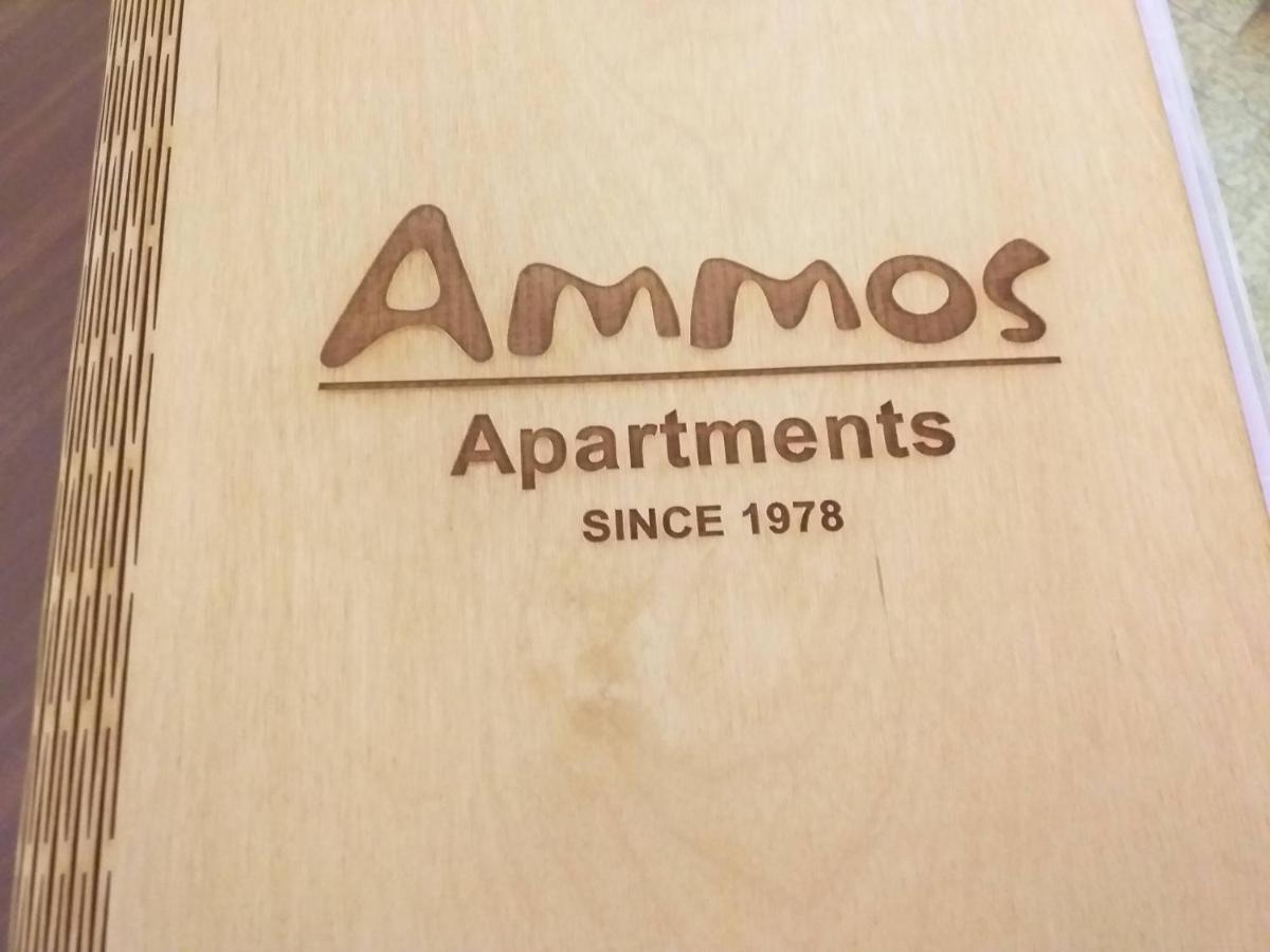 Ammos Apartments Agios Nikolaos  Bagian luar foto